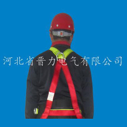 進口安全帶